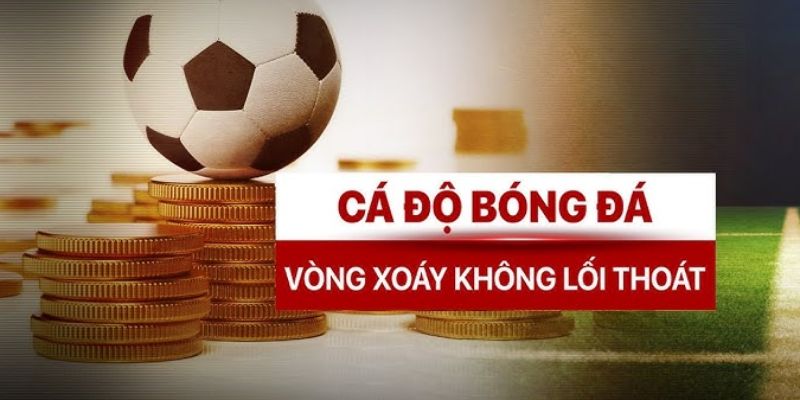 Các loại kèo phổ biến