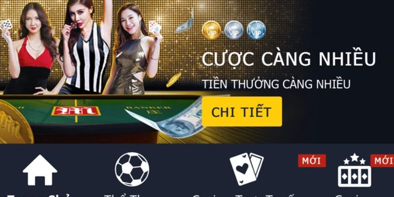 Chọn đúng cược chơi sẽ thắng
