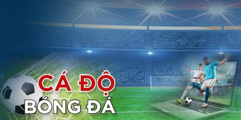 Trang cá độ bóng đá Vin88
