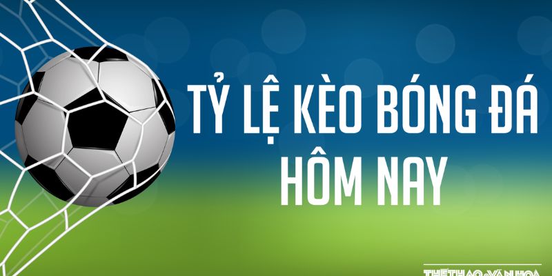 Cách đọc và phân tích tỷ lệ hiệu quả